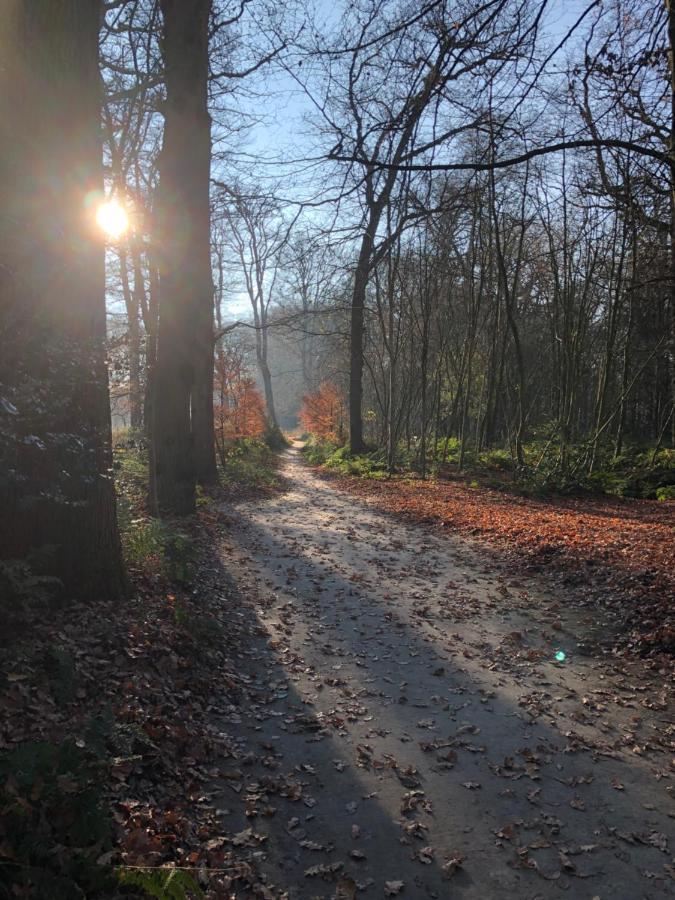 B&B In Karakteristieke Woning, Lytse Loane 5 Ee Ee Eksteriør bilde